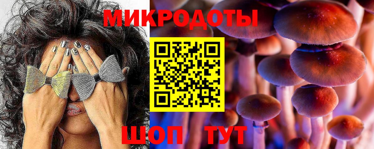 Псилоцибиновые грибы ЛСД  Псилоцибиновые грибы мицелий  Вход с VPN  Губкин 