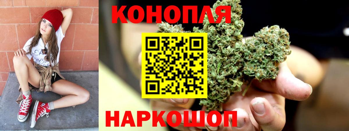 Канабис семена Губкин